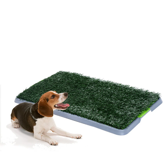 Tre Indoor Dog Toilet Training Mat in Green and Grey