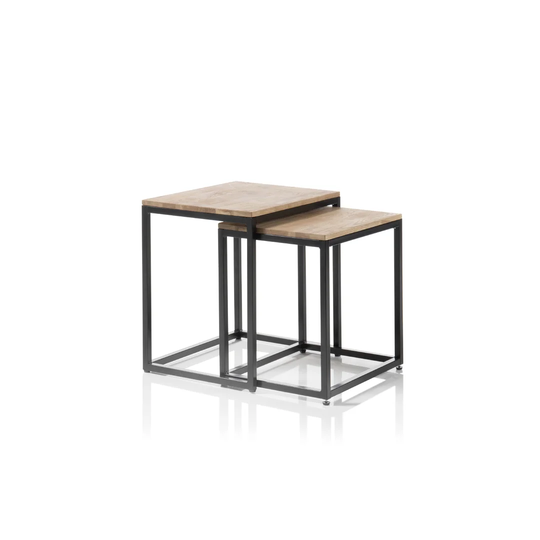 Ehrlich 2 Piece Coffee Table Set