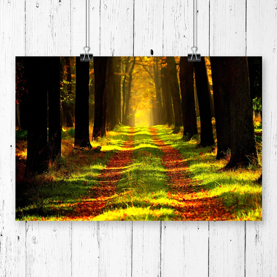 "Landscape Forest Woodland Path" Graphic Art