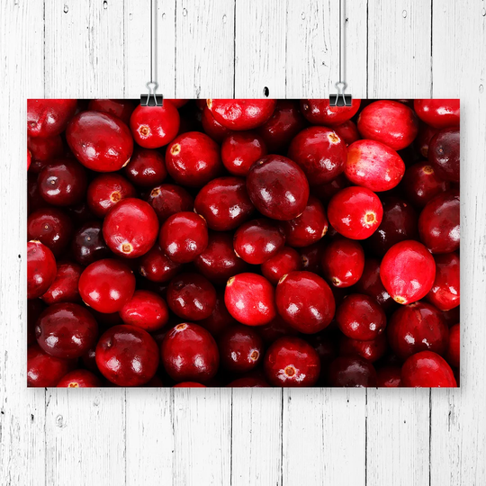 "Cranberries" Graphic Art