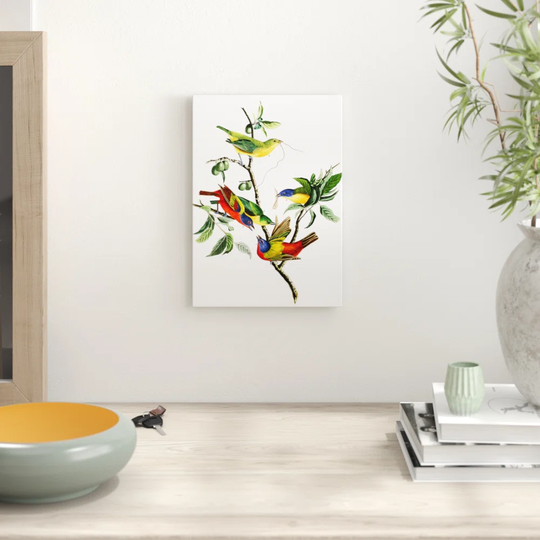 'Painted Finch' by John James Audubon Graphic Art
