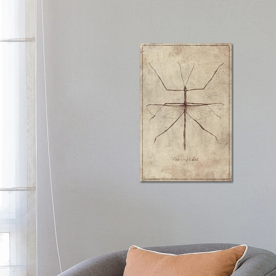 Phasmatidae 2 by Mike Koubou - Wrapped Canvas Graphic Art