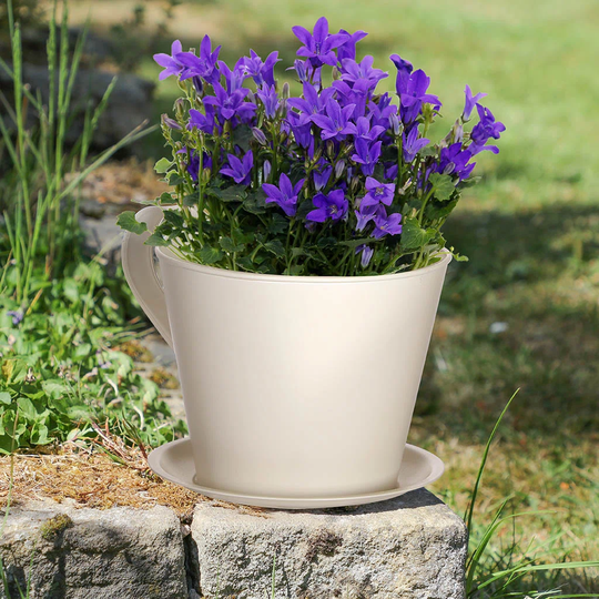 Cream Tea Cup Planter