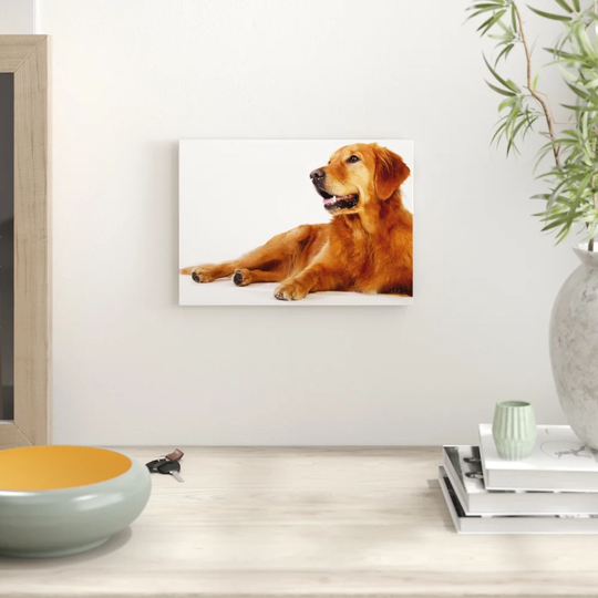 'Golden Retriever Dog' Photographic Print