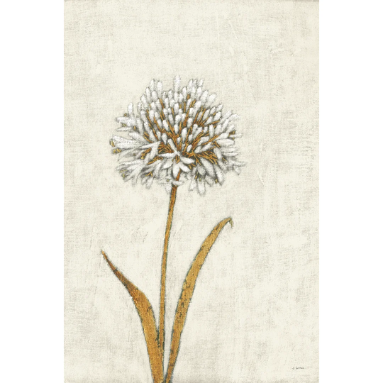 Shimmering Summer I Ivory by James Wiens - Wrapped Canvas Painting
