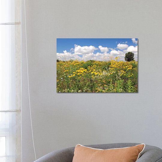 Prairie Flowers by Brian Wolf - Wrapped Canvas Art Prints