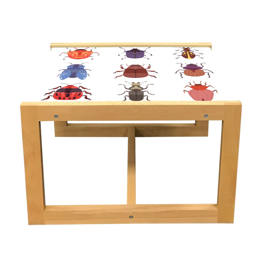 Insects Coffee Table, Bug Fauna Illustration Various Creeping Species In Colorful Cartoon Style Graphic, Acrylic Glass Center Table With Wooden Frame