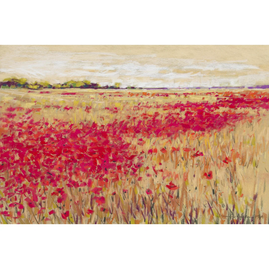 Poppies'' Evening Light I