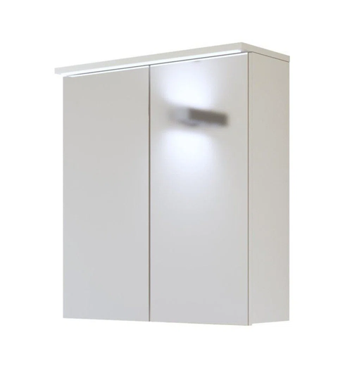 Raygoza 60cm x 69cm Surface Mount Medicine Cabinet