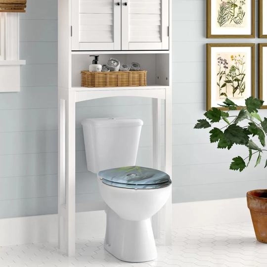 Ceiran Soft Close Round Standard Toilet Seat
