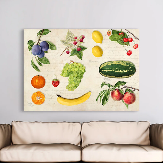 Fruits of the World by Remy Dellal - Wrapped Canvas Graphic Art Print
