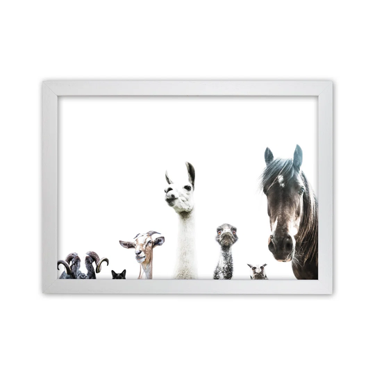 Animal Crew by Victoria Frost - Photograph Print
