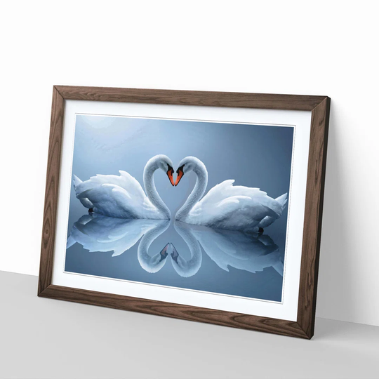 'White Swan Love Heart Lake' Framed Photographic Print