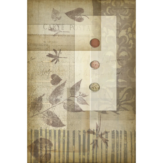 Small Notebook Collage III by Jennifer Goldberger - Wrapped Canvas Graphic Art