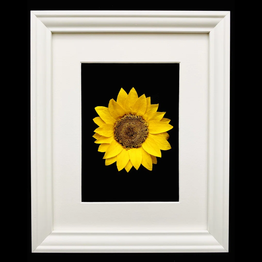 Vogan Framework with Sunflower Decorative Slate