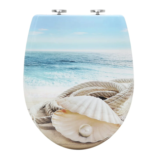 Dejion Soft Close Elongated Standard Toilet Seat