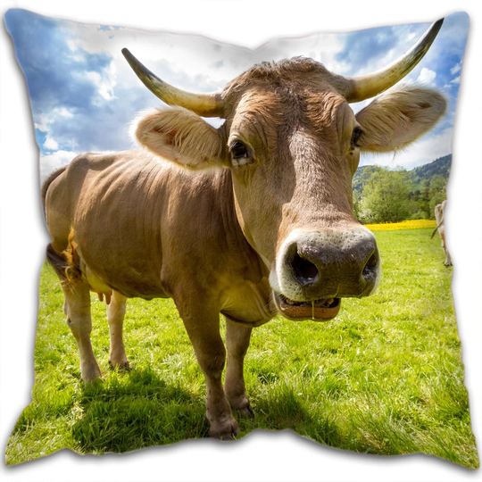 Beauregard Scatter Cushion