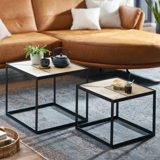 Prout 2 Piece Coffee Table Set