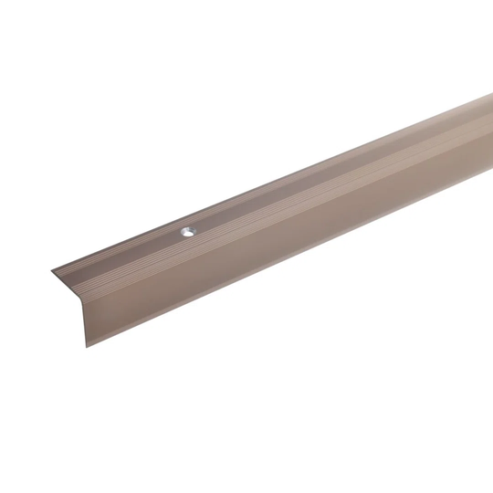 Abenezer Metal 2.7 cm Thick x 3 cm Wide x 100 cm Length Stair Nose in Light Bronze