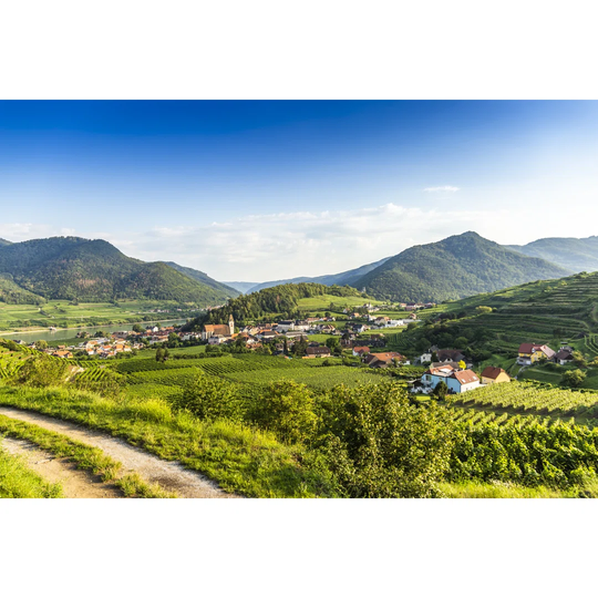 Wachau With The River Danube. Spitz. Austria.