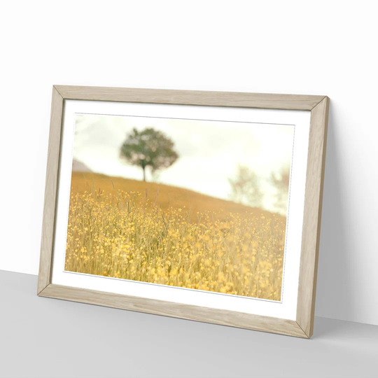 'Landscape Yellow Meadow and Tree' Framed Photographic Print