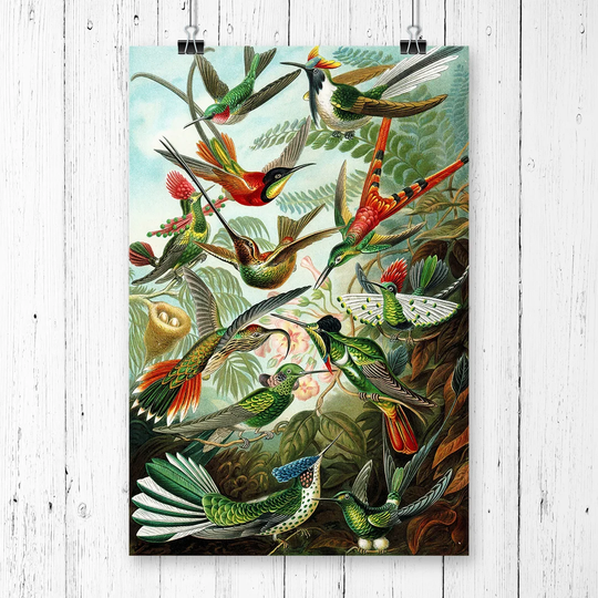 'Hummingbirds Vintage' Graphic Art