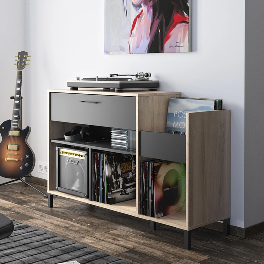 Chicago Multimedia Cabinet