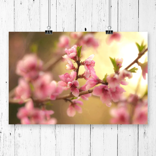 'Spring Bloom Flowers' Graphic Art