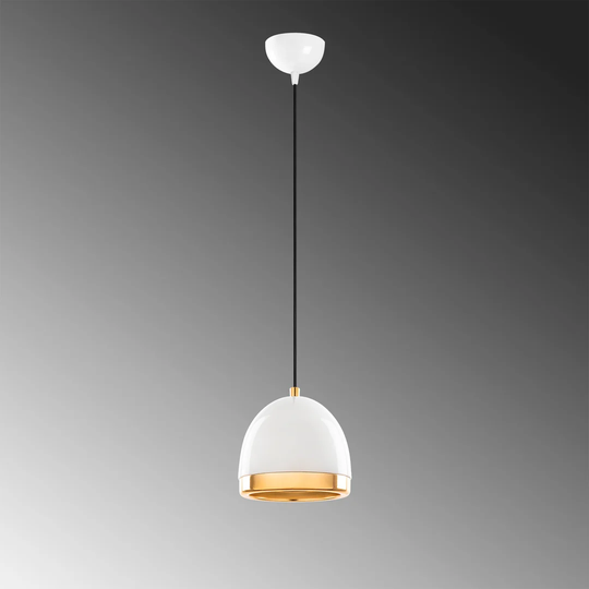 Oxly 1-Light Shaded Chandelier