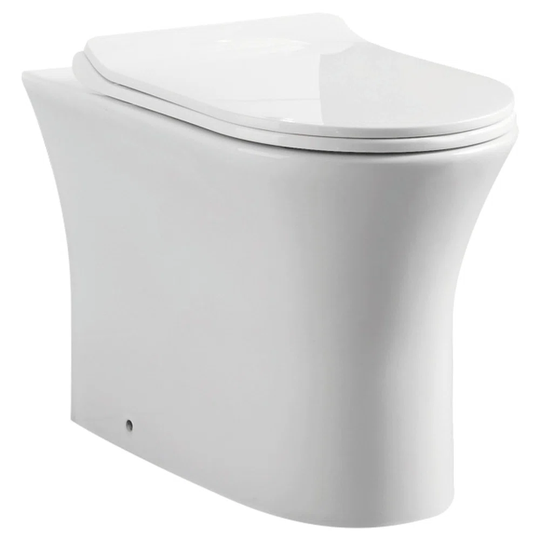 Trudell Back to Wall Toilet
