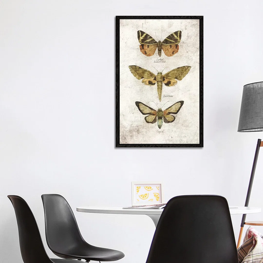Butterflies VI - Print on Canvas