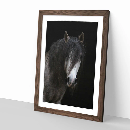 'Horse' Framed Photographic Print