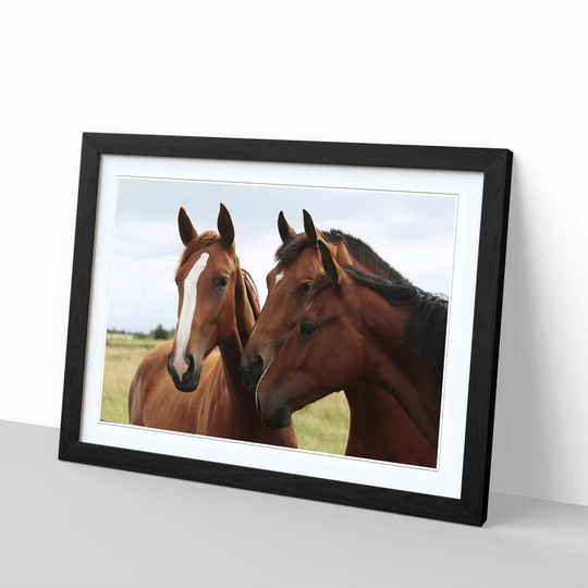 'Three Horses' Framed Photographic Print