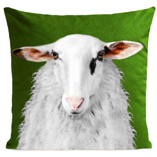 Abra Mr Felix Cushion Cover