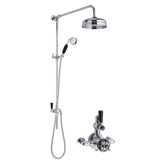 Mixer Shower with Dual Shower Head