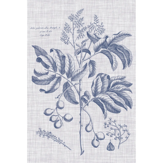 Navy & Linen Botanical IV