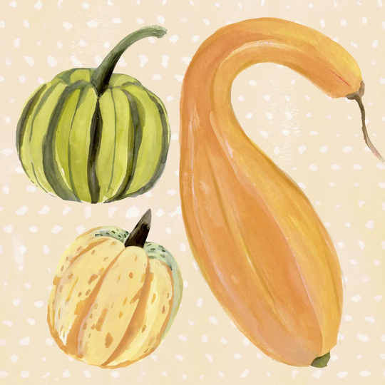 Decorative Gourd I by Annie Warren - Wrapped Canvas Painting
