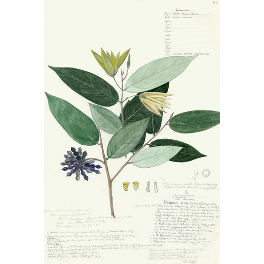 Descubes Foliage VII by A. Descubes - Wrapped Canvas Painting