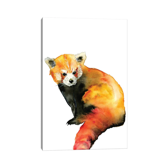 Red Panda by ANDA Design - Wrapped Canvas Art Prints