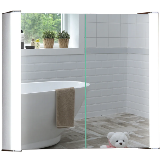 Segarra Surface Mount Mirror Cabinet with LED Lighting
