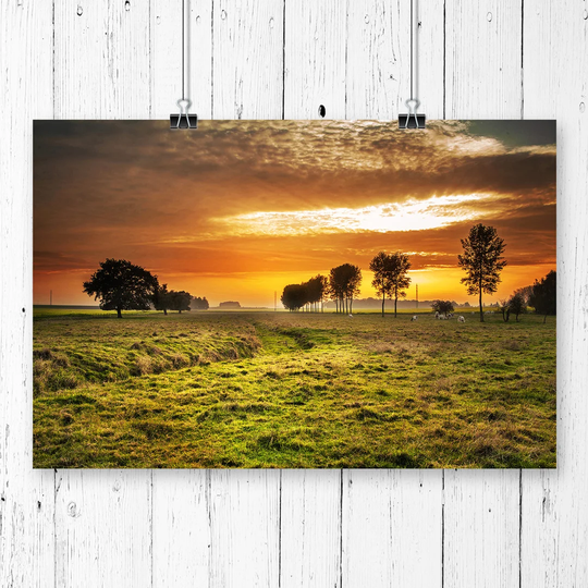 'Landscape Summer Meadow Field' Photographic Print