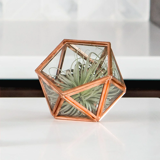 Decorative Jewellery Box