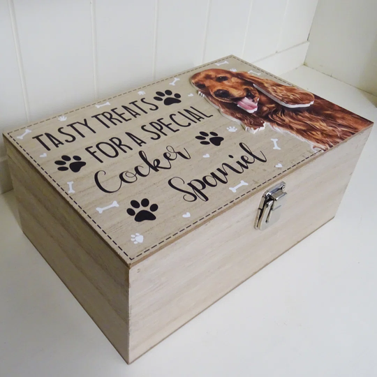 Dejesus Decorative Box