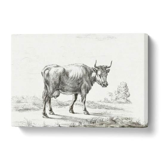'A Cow in the Meadow' by Jean Bernard - Wrapped Canvas Drawing Print