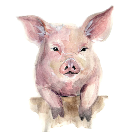 Pig - Wrapped Canvas Painting Print