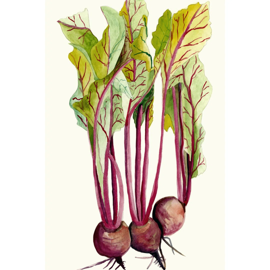 Early Harvest II