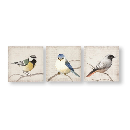 'Perched Birds' 3 Piece Graphic Art Print Set on Wrapped Canvas