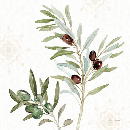 Mediterranean Motif IX by Beth Grove - Wrapped Canvas Painting