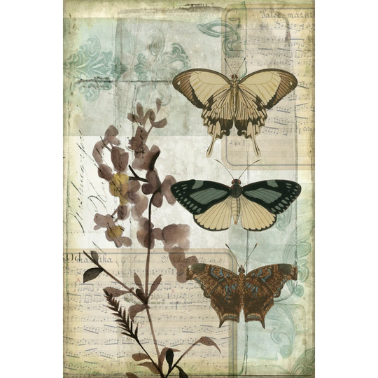 Music Box Butterflies II by Jennifer Goldberger - Wrapped Canvas Graphic Art