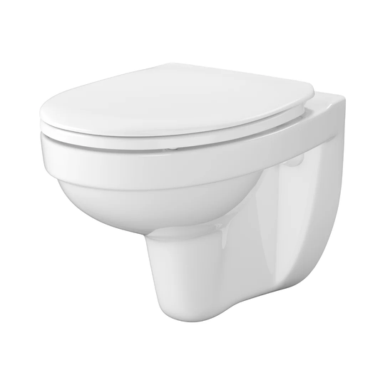 DIelfi Wall Hung Toilet with Dual Flush and Soft Close Seat
